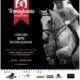 TVR 1 transmite în direct concursul hipic internaţional Transylvania Horse Show, de lângă Sighişoara 63 Afis THS 2014 tot