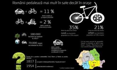 Studiu biciclete