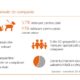 STUDIU. Jumătate dintre deținătorii animalelor de companie cumpără mâncare specializată 165 Mancare pentru animale de companie