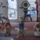 peter rabbit 2 clip 41 2000x835 thumbnail
