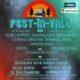 Fest-în-Vale la #MagicLandBreb, Maramureș, între 16 și 18 august 135 Fest in Vale 2024 2