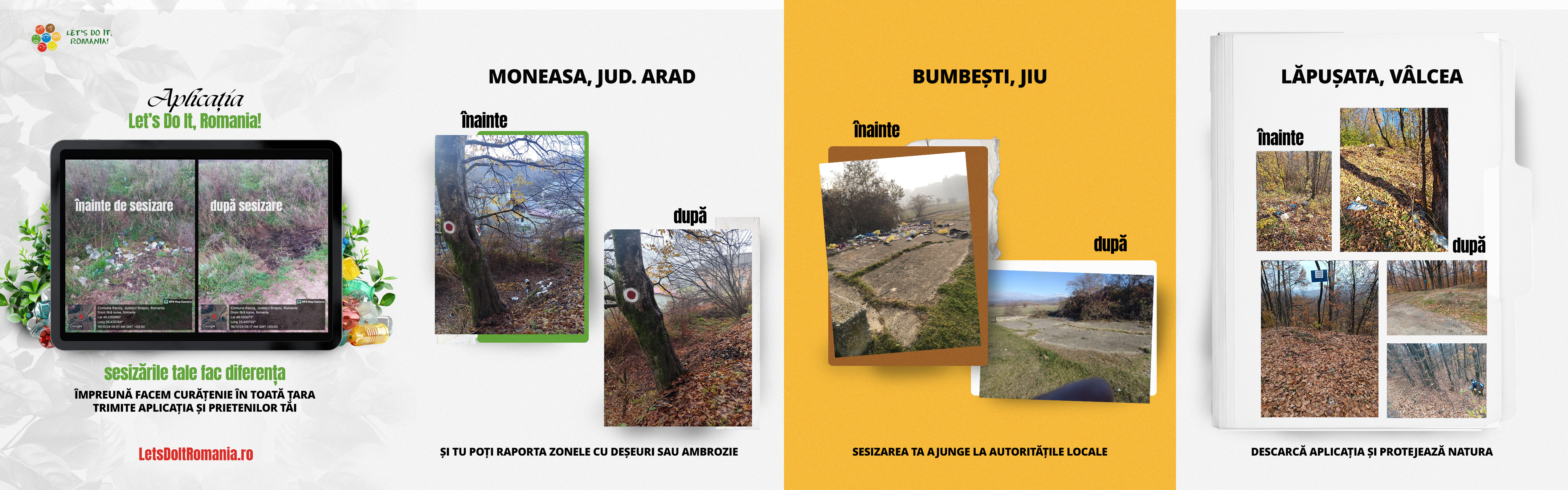 Rezultate app LDIR before after