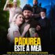 „Pădurea este a mea” – primul film al proiectului 3 Chestii ajunge în toate cinematografele din România, din octombrie 2025 206 padurea este a mea film optimized