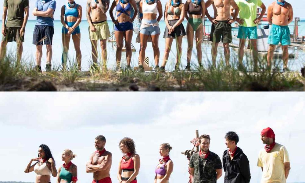 survivor ANTENA1