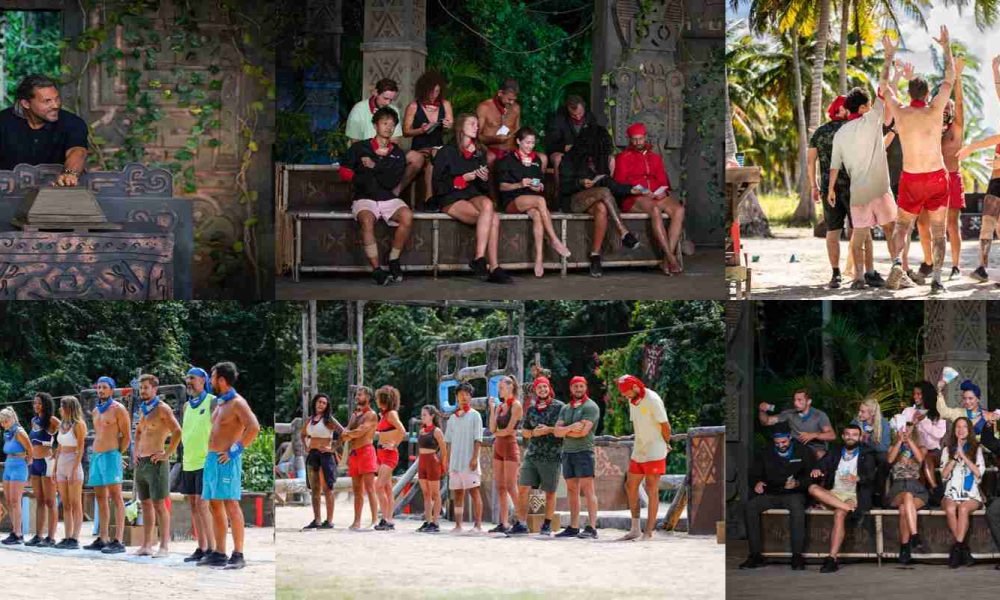 survivor carusel 3x2