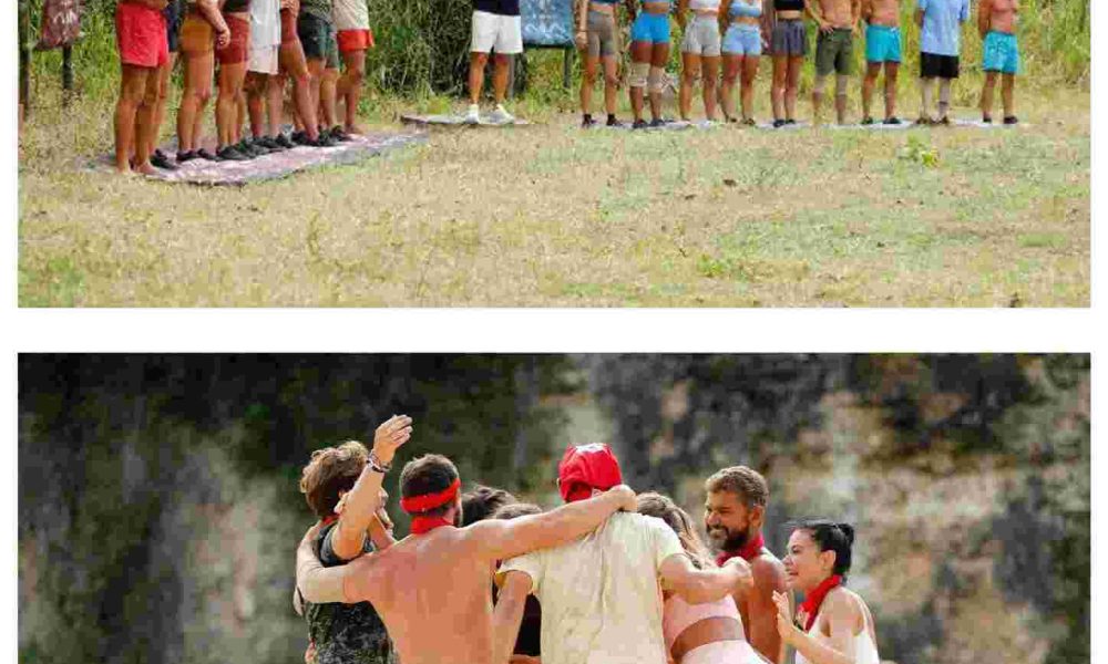 survivor colaj 2026