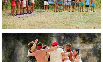 survivor colaj 2026