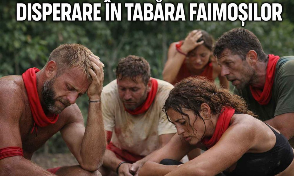 survivor disperare 100kb