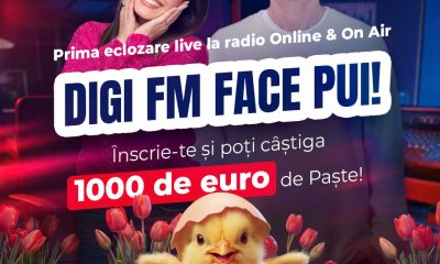 vizual comunicat de presa 1 optimized
