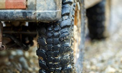 alegereaanvelopelorpotrivite wp
