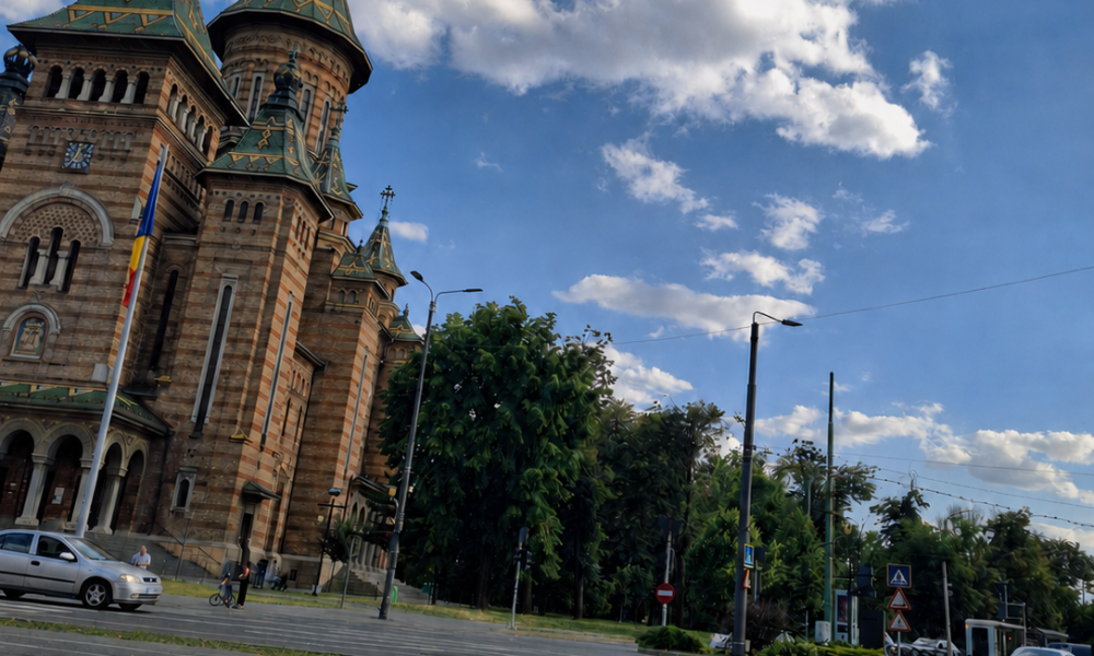 porumbei timisoara native 2026