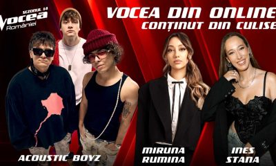 vocea din online optimized