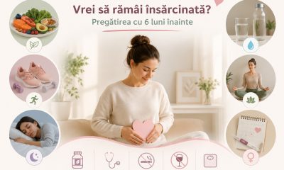 pregatirea sarcinii