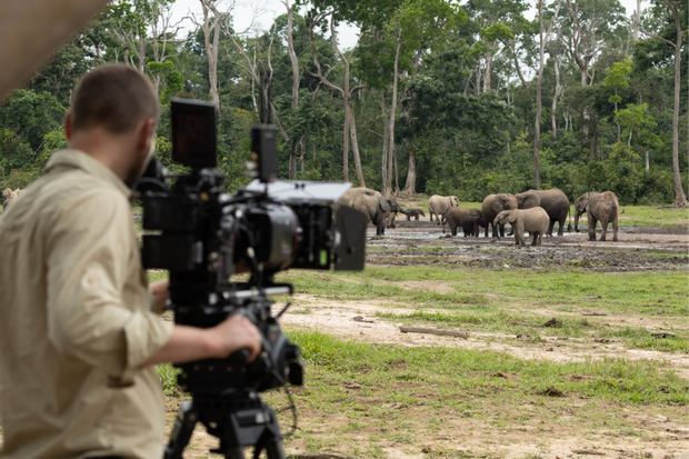 INTERVIU EXCLUSIV cu regizoarea Kate Laurie despre noul documentar National Geographic „Africa: Tărâmul Sălbatic” 61 image 21