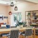 Cinci flori de apartament care reîmprospătează și purifică aerul de la interior