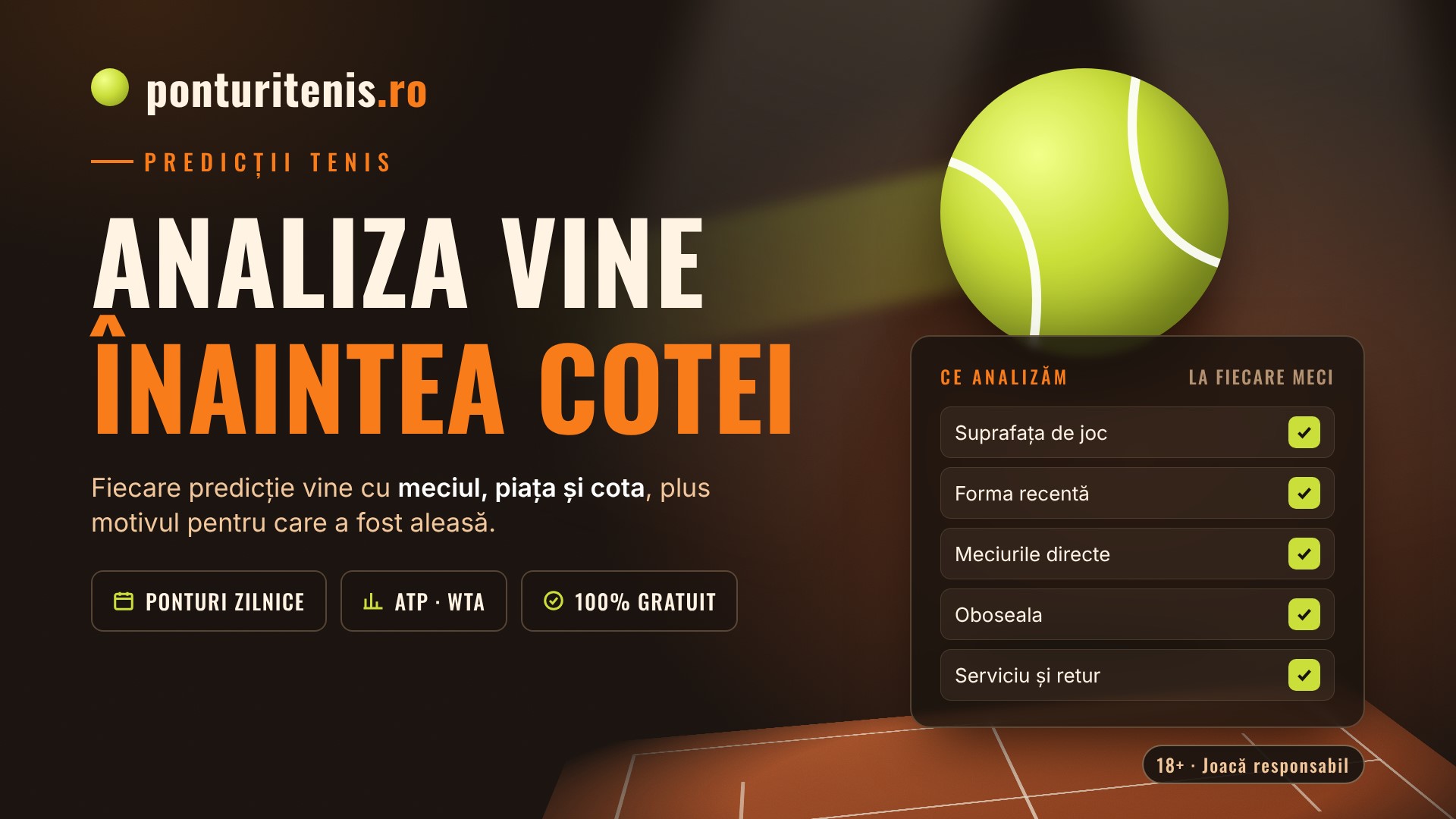 Cum arată o predicție din tenis făcută cu cap 61 Cum arată o predicție din tenis făcută cu cap