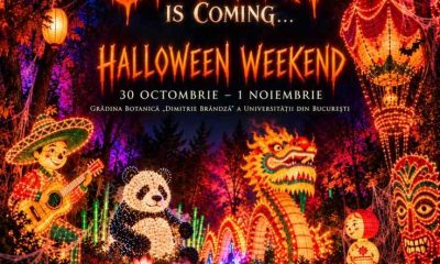 Lumina Park Halloween sub 100KB