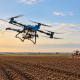 După o toamnă secetoasă, grâul a răsărit neuniform. Specialiștii AEROCROP explică ce trebuie verificat înainte de iarnă 284 AEROCROP